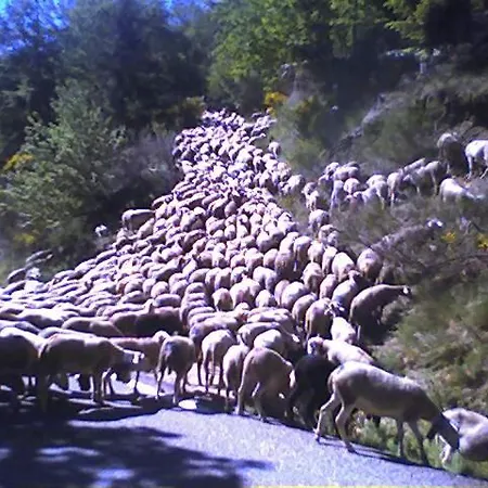 Gite Les Gely En Cevennes *
